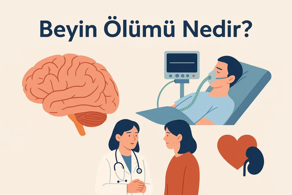 Beyin Ölümü Nedir? Belirtileri, Nedenleri ve Organ Bağışıyla İlişkisi